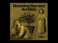 Dustbox   Falling