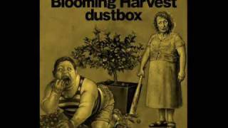 Watch Dustbox Falling video
