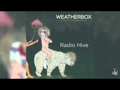 Radio Hive Video