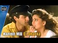 Nazrein Mili Dil Dhadka | Raja (1995) | Madhuri Dixit, Sanjay Kapoor | 90s Romantic Hindi Songs