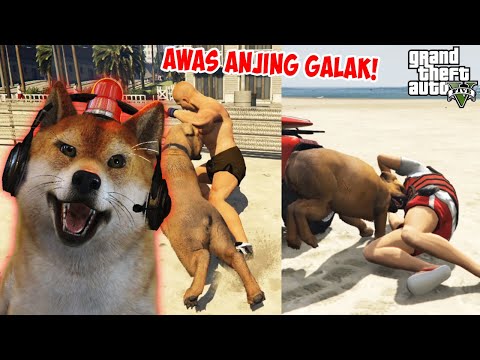 JADI ANJING GALAK! GIGIT SEMUA WARGA!!! - GTA 5 Mod Indonesia #9