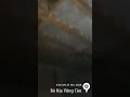 Nhà yến 200m2 700tr chìa khoá trao tay.