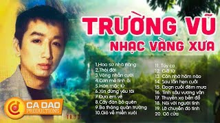 ALBUM HOA SỨ NHÀ NÀNG - TRƯỜNG VŨ NHẠC VÀNG XƯA HẢI NGOẠI GÂY NGHIỆN | CA NHẠC GÂY CHẤN ĐỘNG CON TIM