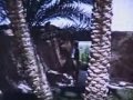بسكرة قبل الاستقلال كلفالي الصادق
