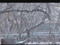 Alien Snow Job #2, February 3, 2010 @ 4 PM, Toronto, Canada.wmv