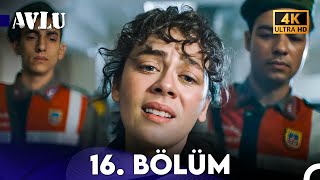 Avlu 16. Bölüm 4K