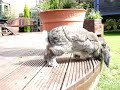 Sir Humpsalot's big day out