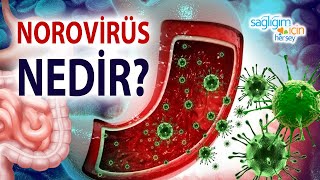 Norovirüs Nedir? Norovirüsten Nasıl Korunabiliriz?