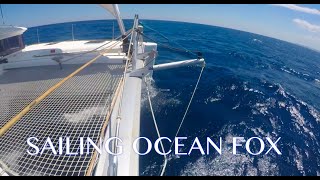Sailing Ocean Fox