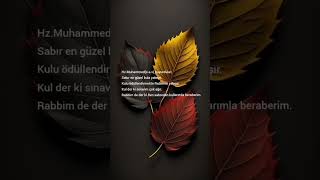 Hz. Muhammeds.a.v