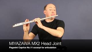 Miyazawa MX2 Articulation