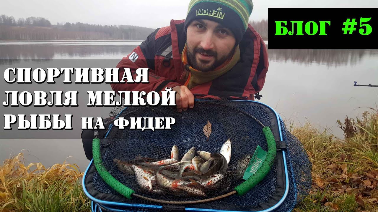 карась на фидер в стоячей воде карась на фидер в стоячей воде