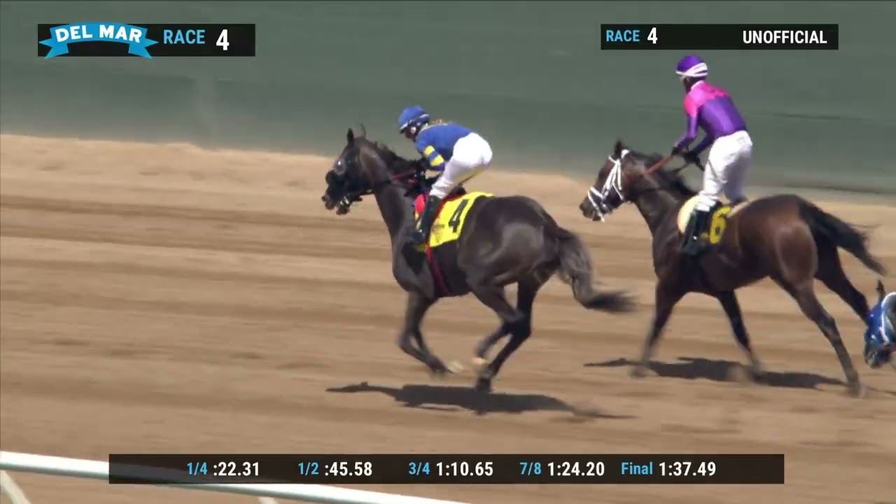 Race Replay