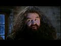 Harry potter und der stein der weisen - youtube