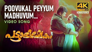 Poovukal Peyyum Video Song Pattabhishekam 4K Jayaram Berny-Ignatius K J Yesudas Sujatha