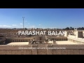 Parashat Balak 2017