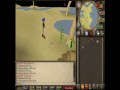 (Runescape) How to Hunt : Crimson Swifts! (Hunting)