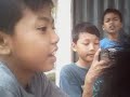 Anak Anak Campuz images Anak Anak Campuz