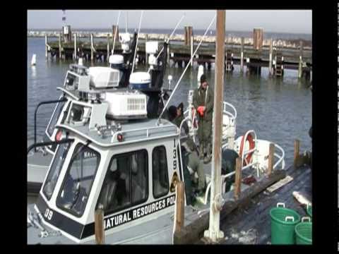 PoachedRockfish.mov