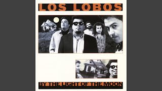 Watch Los Lobos All I Wanted To Do Was Dance video