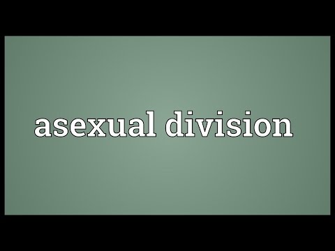 Header of Asexual Division