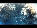free diving