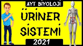 10. Üri̇ner Si̇stemboşaltim Si̇stemi̇ 11. Sinif