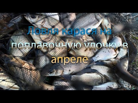 рыбалка в апреле на поплавочную удочку видео рыбалка в апреле на поплавочную удочку видео