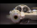 Al Capone's gun to go under hammer