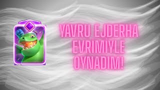 Yavru Ejderha Evri̇mi̇yle Oynadim