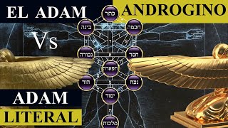 El Hombre Androgino En La Cábala El Adam Kadmon