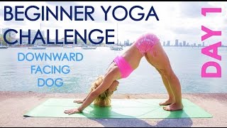 Day 1 Beginner Yoga Challenge: Downward Facing Dog