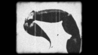 March On By Ethan Meixsell Directed By Frank Forte Heavy Metal Video Dark Metal Animation Music