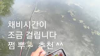 잉어는 앞에 있습니다 ^^