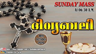 Live Latin Holy Mass, Malayalam from St. Michael's Cathedral, Kottapuram, 18/10/2020