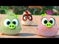 Angry Birds 2: Kurjad linnud. Film - 10 esimest minutit. Teleesilinastus 26. aprillil Sony Channelis