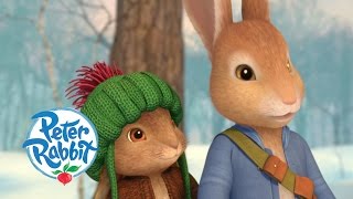 Peter Rabbit - Christmas Tale Peter Rabbit - Christmas Tale