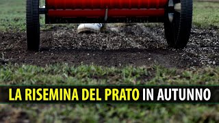 La Risemina Del Prato In Autunno