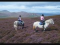 Purple Heather Video preview