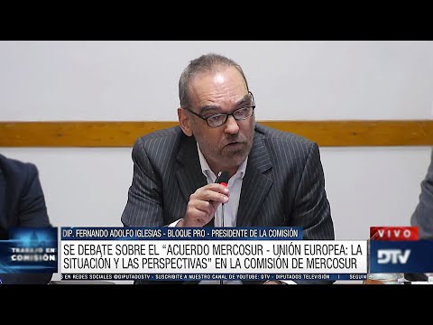 En vivo: Diputados trabaja en el acuerdo Mercosur-Unión Europea