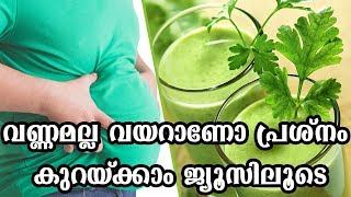 വണ്ണമല്ല വയറാണോ പ്രശ്നം കുറയ്ക്കാം ജ്യൂസിലൂടെHealthy kerala | Health tips | Fat | Fat loss