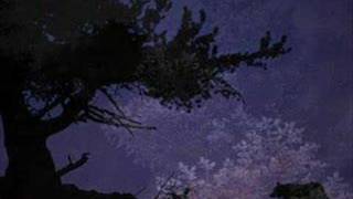 Watch Graveland Carpathian Wolves intro video