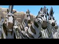 Khumba