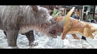 Animatronic Animals In Romford Shopping Center 24082024