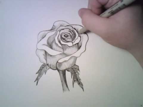 Drawing a Rose Drawing a Rose Yes I know This is not an anime character