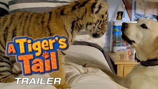 A Tiger's Tail - Trailer