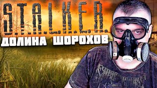 Полное Прохождение Stalker Долина Шорохов Gunslinger