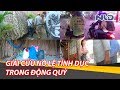 Kỳ 1: Tiếng kêu cứu của cô gái bị làm "nô lệ tình dục" trong "động quỷ" | NLĐTV thumbnail