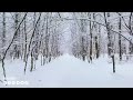 Play this video БББ Wonderful Winter Scenes And Soothing Music for Relaxation ППП