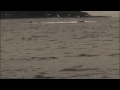 Alaska fishing